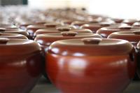 khoa-tu-xuat-gia-gieo-duyen-ky8-truclam-20-