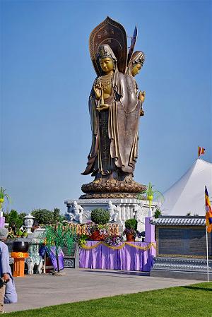 JNP_8430