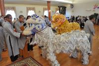 tet-tan-mao-truclam-109-
