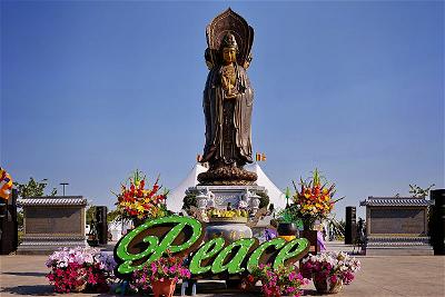 JNP_8433