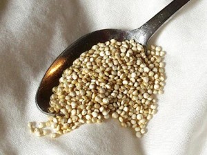 hat-quinoa-truclam hat-quinoa-truclam